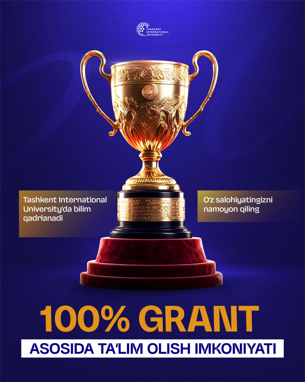 Scholarship Opportunities Available at TIU for 2026/2027 Admission